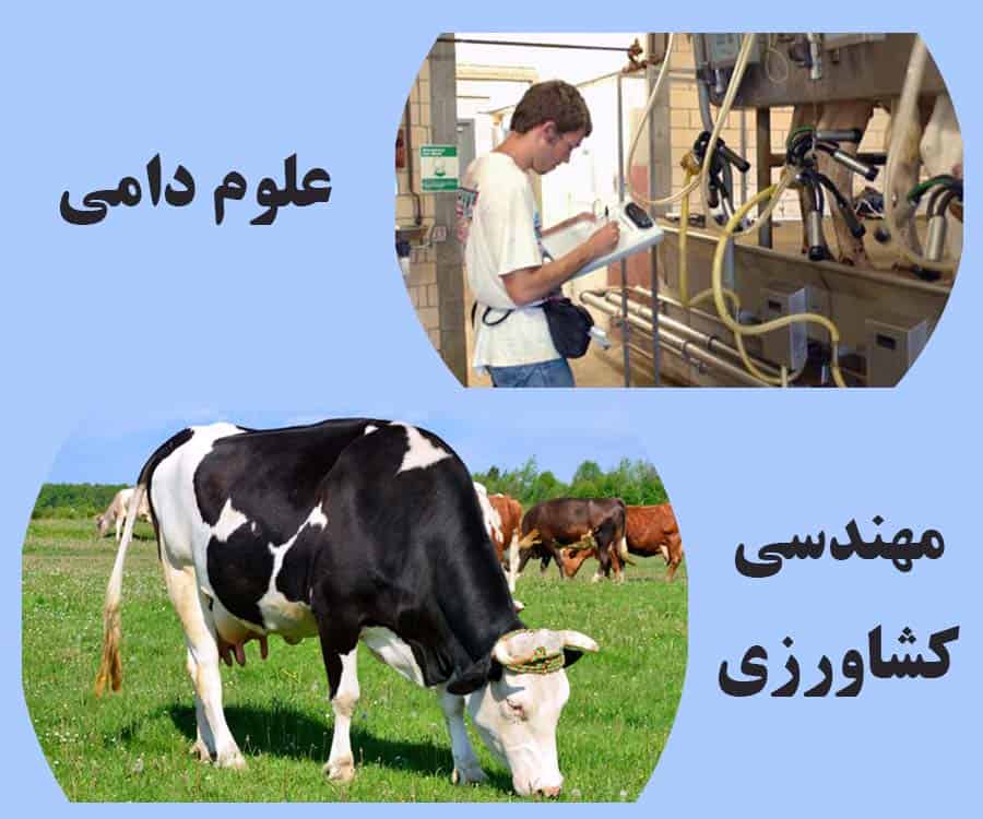 دانلود فایل های علمی و آموزشی دام و طیور