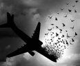 ۱۶ بورس دکتری به یاد ۱۶ قربانی هواپیمای اوکراینی امسال اعطا می شود